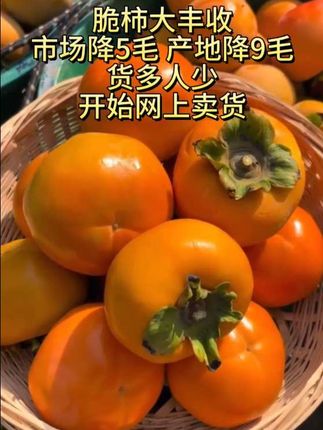 #脆柿 #新鲜采摘 #源头好货 #快来一起尝个鲜