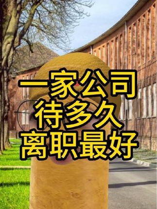 Mark聊职场(职业规划)