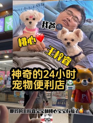 王豆豆爱逗逗儿