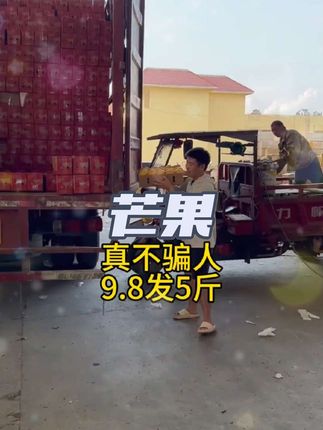 这个大台芒新鲜饱满,皮薄肉厚核小,软糯香甜,一口下去汁水巨多,好吃到停不下来~#芒果 #台农芒果
