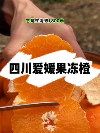 头茬无籽果冻橙,酸甜爽口,皮薄多汁#果冻橙#爱媛38号果冻橙#应季水果#亲测分享#孕妇水果