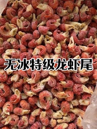 无冰特级龙虾尾批发虾球批发龙虾尾原料批发 无冰特级龙虾尾批发虾球批发龙虾尾原料批发#虾尾#虾球