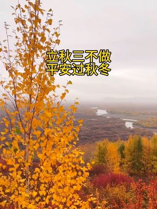 立秋三不做平安过秋冬#落叶知秋 #正能量 #美好的秋天 #涨知识 #正能量分享