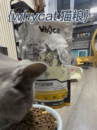 幸好你们没买 y cat 的正装猫粮,因为他们出了一个一斤装的试吃,羊毛滑下来比正装划算多了。#猫粮 #强烈推荐 #宠物食品 #whycat猫粮 #猫粮试吃