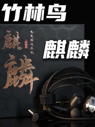 百元入耳式游戏耳机选什么?竹林鸟麒麟别错过#竹林鸟耳机 #竹林鸟麒麟 #电竞耳机 #耳机#有线耳机
