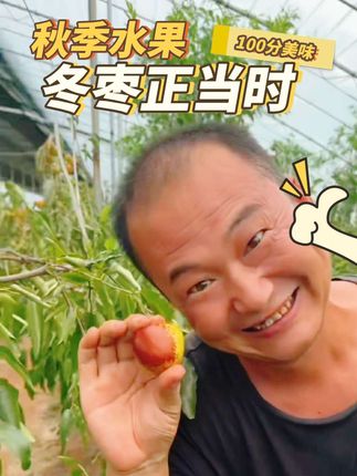 秋季进补,大荔冬枣#优质农产品 #新鲜采摘 #口感特别好 #冬枣
