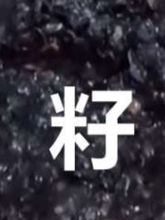 推荐精品少果肉籽黄金小籽就是图片上黄金少果肉籽#精品少果肉籽 #籽多多嫩小籽 #黄金籽 #嫩小籽 #好吃解压
