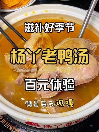 这个季节来贵阳怎么能错过老鸭汤~ #杨丫老鸭汤真材实料 #一碗好汤的诞生 #秋日第一碗养生汤 #老鸭汤 #老鸭汤火锅