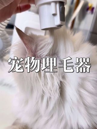 可算降价了,厂家这补贴估计也就到这季末了#猫咪掉毛 #狗狗掉毛 #宜宝宠物理毛器 #萌宠好物