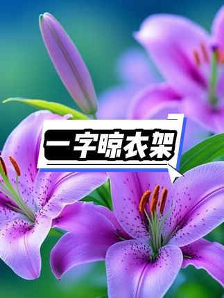 这个一字晾衣架即不占空间,还可以晾晒大部分内衣裤袜子#衣架 #不锈钢晾衣架 #超便宜超