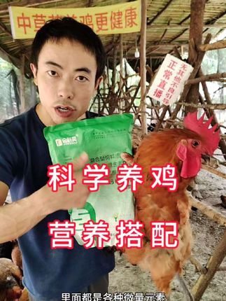 如果只给鸡喂粮食,蔬菜,营养很单一,长期缺乏微量元素。这种鸡抵抗力很差,经常要出问题,有花不完的钱,买不完药。母鸡要下软壳蛋,要吃蛋,不怎么下蛋。小鸡容易啄羽啄肛,光吃不长,大小不均匀。这个营养产品我用了很多年了,效果很好。一包两斤装1000克拌料1000斤,每天给鸡鸭鹅喂上。#鸡光吃不长肉 #鸡不下蛋怎么办 #鸡下软壳蛋 #鸡吃蛋怎么办 #母鸡不下蛋怎么办