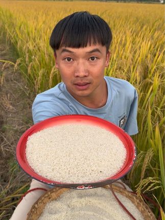 #长粒香大米 #粒粒分明米香醇厚 #不一样的大米 #一袋10斤重 #稻谷熟了