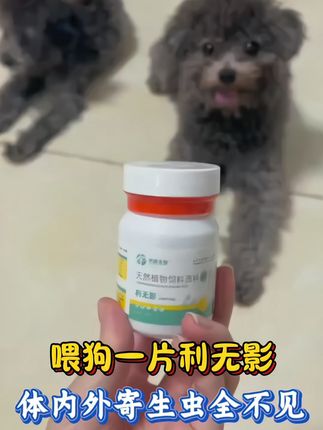 喂狗一片利无影,体内外寄生虫去无踪#宠物用品 #科学养宠攻略 #狗狗#养狗经验分享 #驱虫@DOU+小助手