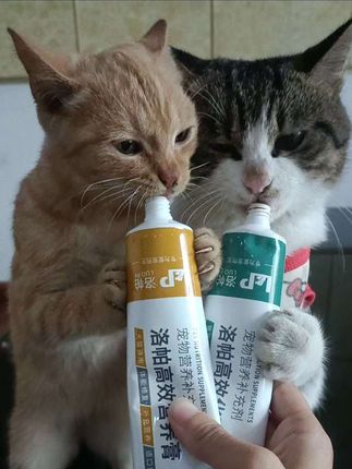 猫咪每天舔毛很多次,不及时排出就会非常难受,一定要按时给猫咪吃化毛膏排毛!#化毛膏 #营养化毛膏 #喂猫日记 #养猫必备 #好物推荐🔥