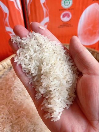 家人们!牧马湖5号天马香贡米,长粒饱满的香米“优等生”,一口就爱上! 自带清新米香,颗颗弹牙有嚼劲。1斤试吃装超贴心,品质看得见,炒饭、煮粥、做寿司都适配。 这神仙大米不冲真亏!快来尝鲜舌尖米香暴击~#贡米 #大米 #香米 #妈呀太香了 #抖音美食推荐官