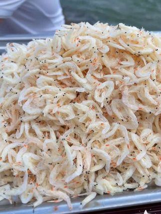 #新鲜虾皮#好吃不贵经济实惠