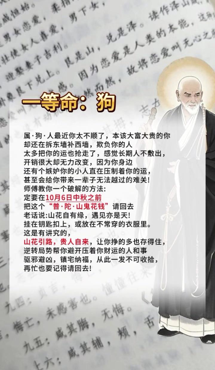 #属狗的 #狗