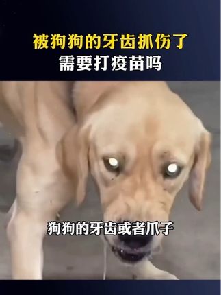 #科学养宠攻略 #养狗人 #养狗经验分享 #狂犬病