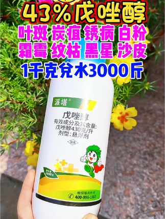 预防及治疗真菌病害就用戊唑醇 #病虫害防治 #柑橘#脐橙#果树#种植