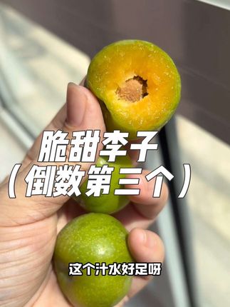 吃到倒数第三个了,真的停不下来😂新下单的已经在路上了,我又想给你们推荐,又怕你们买多了搞的我买不了了……因为我之前买的那个尺寸已经没货了啊啊啊啊啊#应季水果 #脆李子 #爱吃水果 #强烈推荐 #实拍