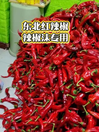 #东北红辣椒##辣椒 #优质农产品 #无辣不欢