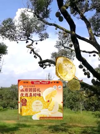 #强烈推荐 #快来一起尝个鲜 #看过来 源猫山王榴莲味月饼