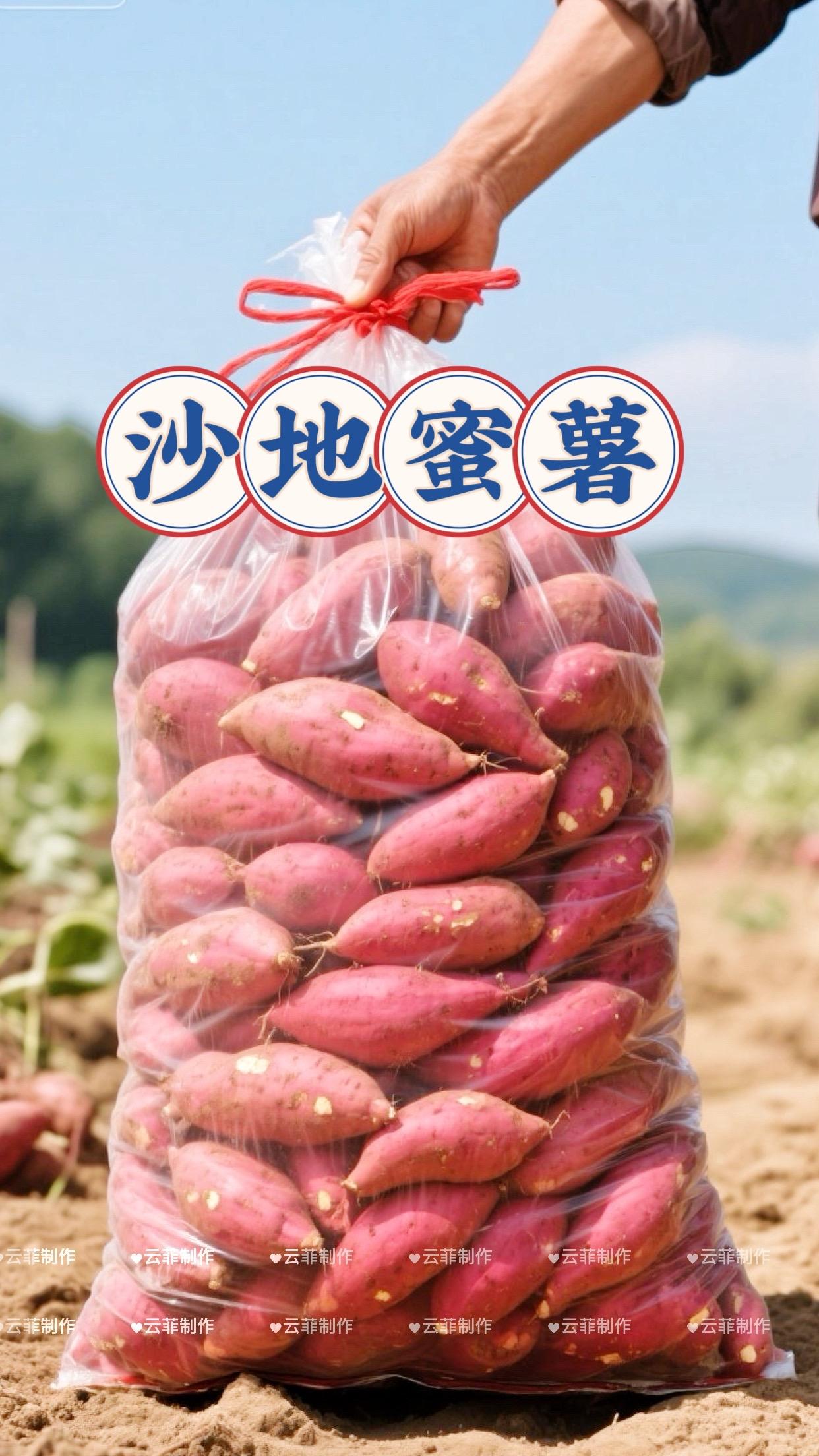 沙地蜜薯,香甜软糯的自然馈赠。来自沙质土壤的孕育,每一颗蜜薯都饱吸阳光雨露。外皮红亮,内里绵密,烤之流蜜,蒸之香甜。一口咬下,是沙地赋予的独特软糯,是自然造就的甜蜜暴击,给你最纯粹的味蕾享受。 沙地蜜薯4.9发3斤!吃到嘴里软软糯糯!非常好吃!#沙地蜜薯 #蜜薯 #红薯 #口感特别好价格实惠