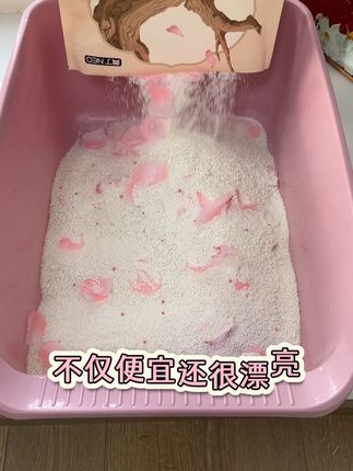 好用的猫砂不仅便宜还很漂亮,就这足足4包到手2位数,还能顺丰送上门#猫砂#木薯猫砂#性价比猫砂推荐#猫砂测评