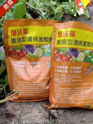 大语文时代,语文考试知识面非常灵活,一定要帮孩子多积累这些百科常识#育儿#家庭教育 #百科知识#文学常识