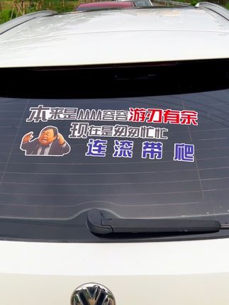 本来应该从从容容,游刃有余,现在是匆匆忙忙,连滚带爬 #本来应该从从容容游刃有余 #王世坚 #台湾省 #和平统一 #车贴