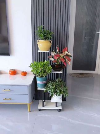 喜欢在家养绿植的,可以整个这样可移动的多层花架,摆放客厅阳台都很美观好看还很实用#绿植花卉#可移动花架 #爱生活爱养花 #美观又实用