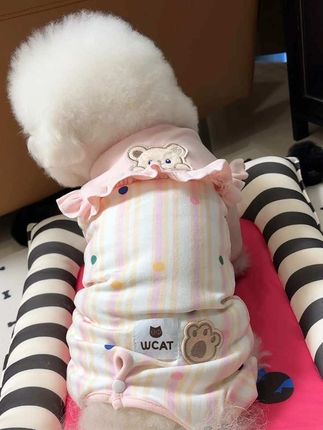 天凉了,毛孩子的包肚四脚衣安排上,不怕趴地板着凉了#宠物衣服 #宠物四脚衣 #宠物包肚衣 #狗狗四脚衣