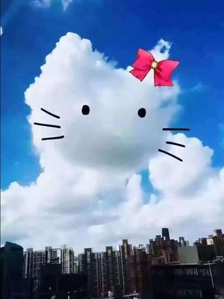 #早秋显身材平价.上衣合集 #秋季清冷感白月光穿搭 #被秋日氛围感穿搭拿捏了 #微胖女生怎么穿出早秋氛围感 #晒出你的硬核穿搭公式