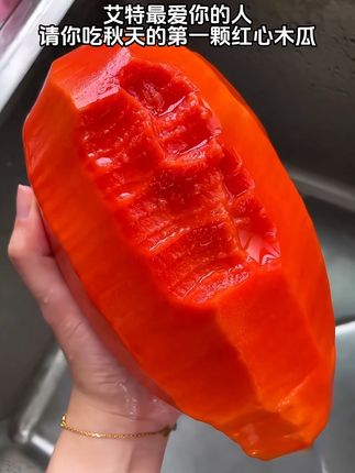 秋天的第一颗红心木瓜,我也吃到啦真的好幸福啊!!#新鲜应季水果 #红心木瓜 #木瓜 #谁懂这一口的好吃程度 #快来一起尝个鲜