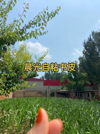#自粘书皮 #开学必备 #包书皮 #透明书皮 #防水书皮
