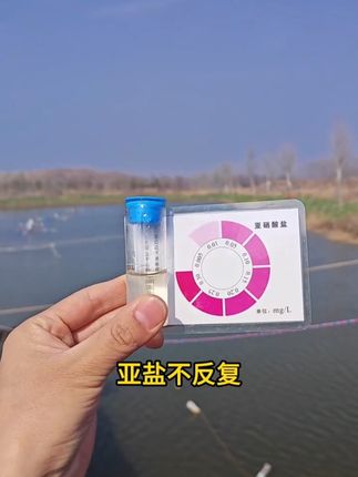 #强烈推荐 #亚盐 不反复 试试 #鱼耀#硝化细菌 直接化水泼洒 稳定降解 对鱼虾蟹没有任何伤害