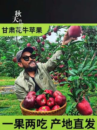甘肃特产。花牛苹果天水产地直发