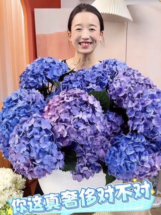 高饱和王者‼️谁家绣球比它更好看⁉️,你家还缺一束撑场面的花吗,那快来看看博登湖绣球——高奢品牌御用花材,摆的不是花,是主人的档次和脸面,#绣球#绣球花#云上俏#云上俏绣球#花与生活