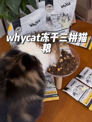whycat鱼油猫粮,一斤装才二十多块,比正装划算多了,刷到直接入#养猫新手 #养宠进阶指南 #养猫 #毛孩子日常 #whycat猫粮