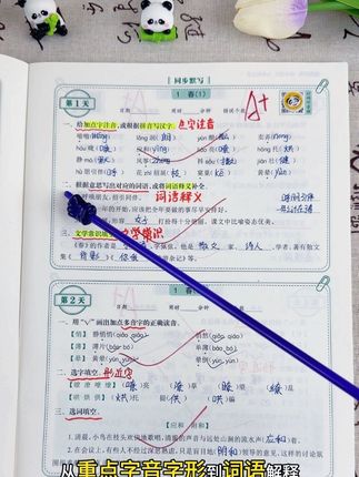 初中语文如何巩固当天所学?推荐这本睡前默写,每天十分钟,知识巩固有提升#初中语文 #语文 #知识点总结