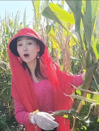 丝巾一盖,非常可爱!这样不拉脖子不拉脸,掰玉米也要有仪式感!#原创#掰玉米 #方言搞笑 #农村生活欢乐多 #逗恁一笑烦恼忘掉