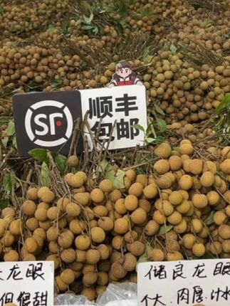 广东茂名高州储良龙眼肉厚多汁新鲜采摘好吃停不下来口感也不错