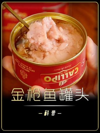 别看这座小岛环境脏乱差,但人们挤破脑袋也想得到它! #金枪鱼罐头 #好吃到停不下来 #无限回购的宝藏单品 #科普