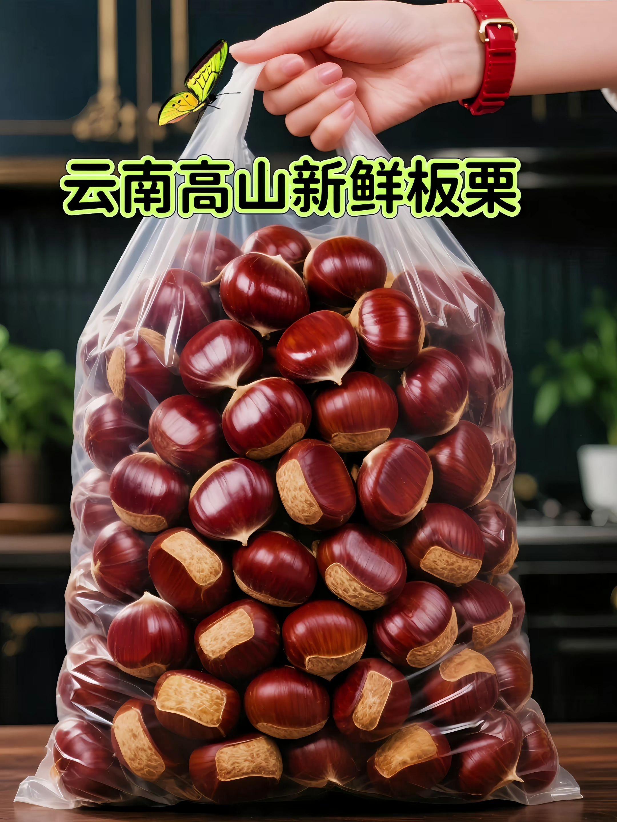 云南高山新鲜板栗。这款来自云南高山板栗,都是刚从树上采摘下来的新鲜板栗,个头均匀饱满,外壳油亮,带着细密的绒毛,剥开那层坚硬的壳,里面是饱满的淡黄色果肉,脆生生的,带着清甜味儿。吃法多样,除了糖炒,还能炖肉,煮着吃也不错,清甜爽口,当作日常零食健康又顶饱。还能做成板栗饼、板栗糕,粉糯香甜,非常好吃,喜欢吃板栗的家人们不要错过了。#板栗 #口感特别好 #老人孩子都爱吃 #优质农产品 #妈呀太香了