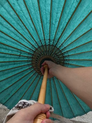 今天撑伞走在路上遇到老师 被夸伞有特点. #意境#油纸伞#东方美学#国风古韵#百young非遗