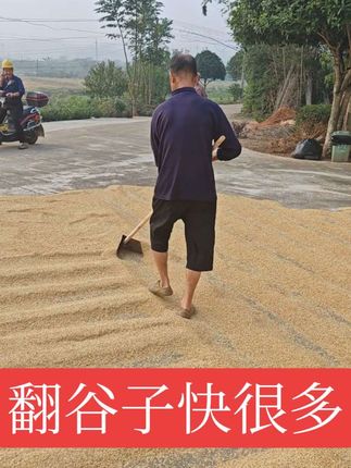 自制翻稻谷神器,又快又轻松,没有灰尘。有需要小黄车下单?