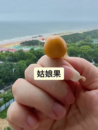 姑娘果#愿每一岁都活成自己喜欢的样子