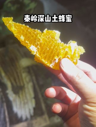 #三农 #秦岭土蜂蜜 #蜂蜜 #农村电商