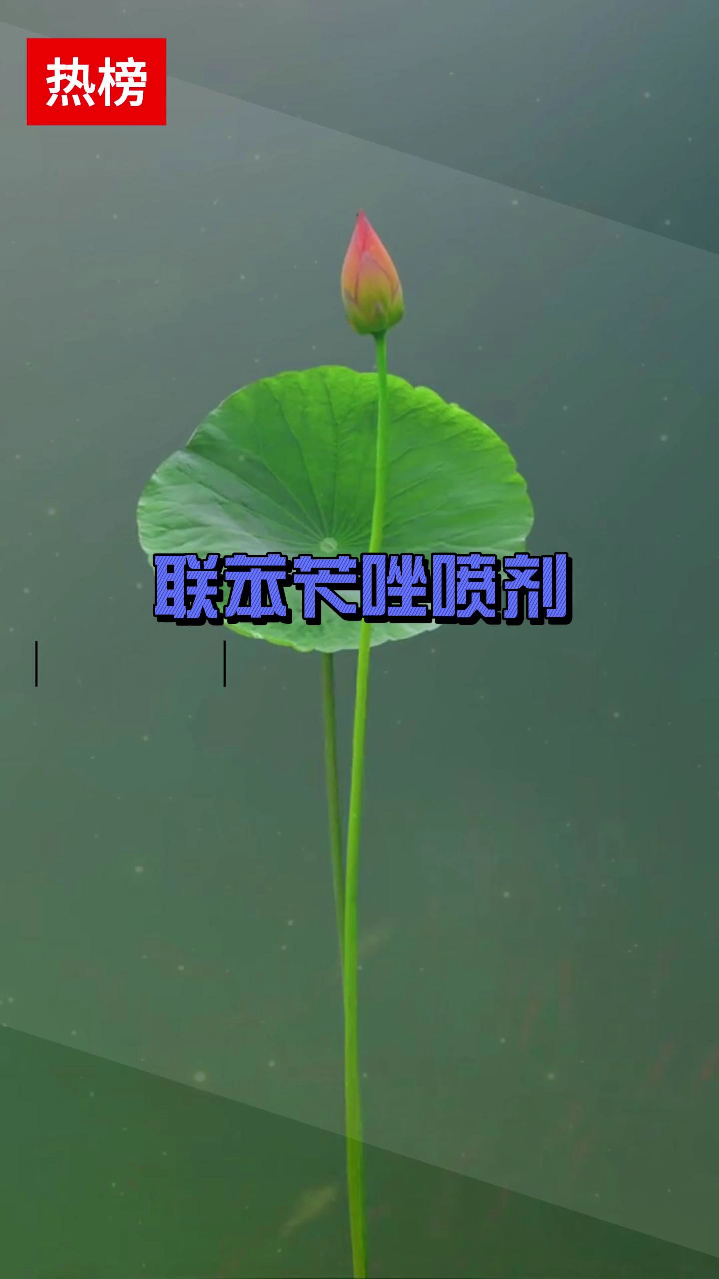 脚后跟增厚粗糙看着很影响美观?!问题不大,这样处理很简单!#脚后跟干裂起硬皮 #角化型脚气 #脚气用什么药最管用 #涨知识 #医学科普