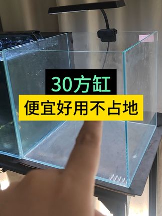 30方缸,鱼缸界中的万能油!#鱼缸 #方缸 #新手养鱼鱼缸推荐